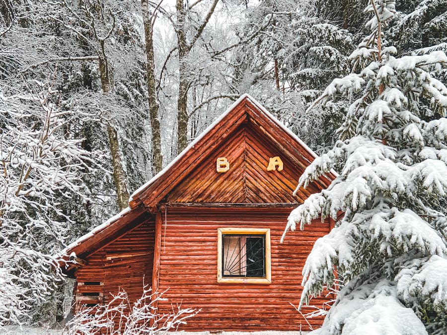 A red log cabin surrounded by snow-laden spruce and birch trees