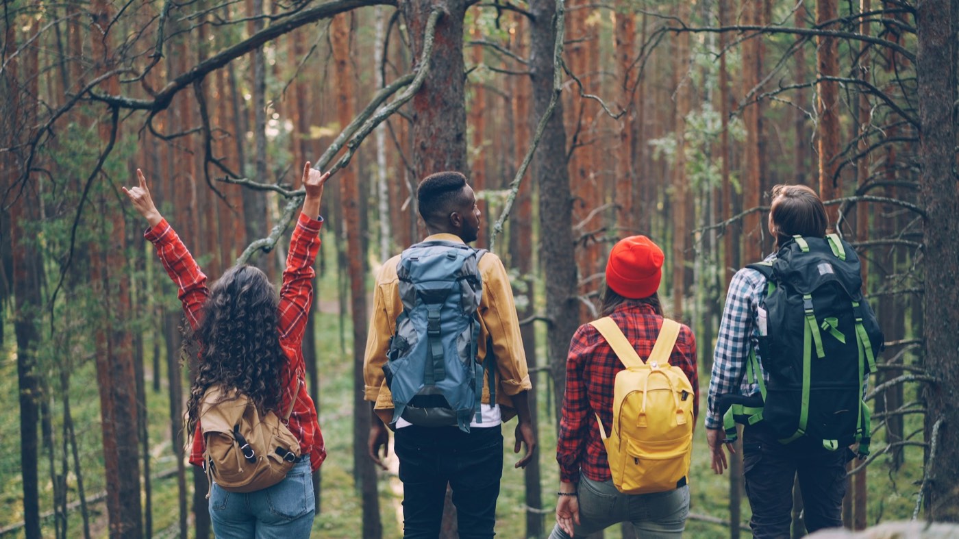 Four people with day packs walking together through a pine forest